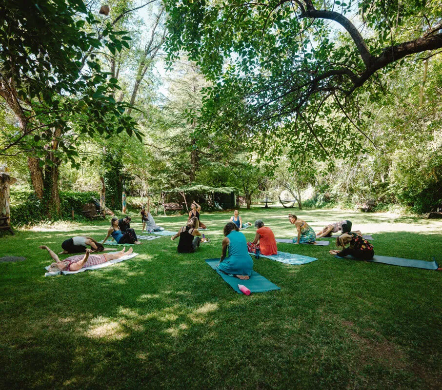Daily Yoga & Meditation